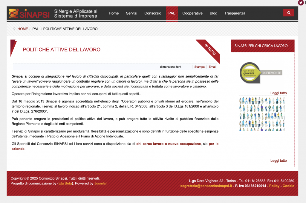Politiche attive del lavoro - Pagina del sito consorziosinapsi.it